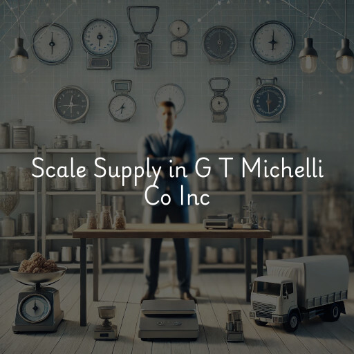 Scale Supply and Weighing Solutions G T Michelli Co Inc