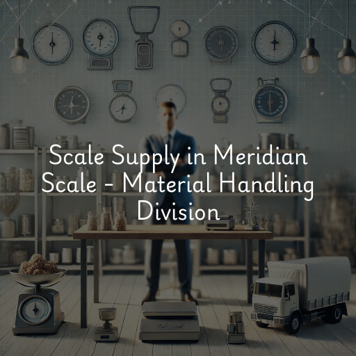 Scale Supply and Weighing Solutions Meridian Scale - Material Handling Division