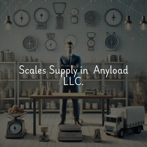 Scale Supplier at  Anyload LLC.
