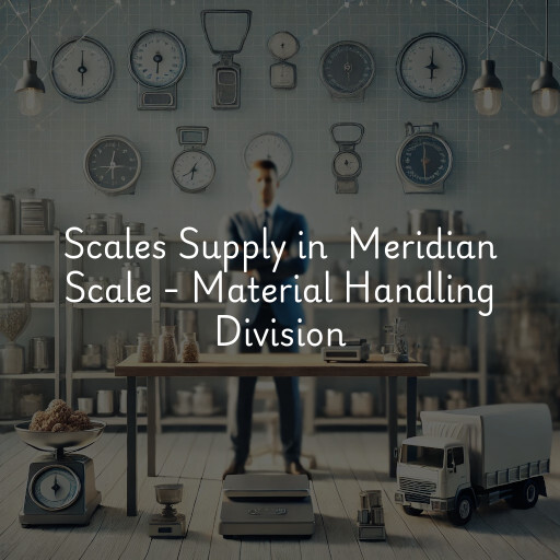 Scale Supplier at  Meridian Scale - Material Handling Division